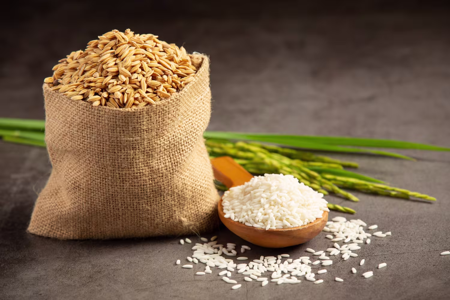 Basmati Rice